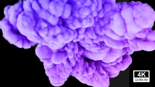 Abstract Purple Fluid Smoke Reveal Transition