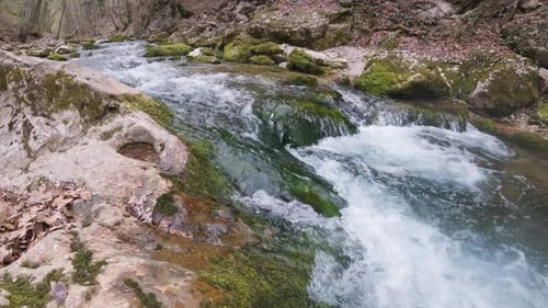 Mountain River Close Up