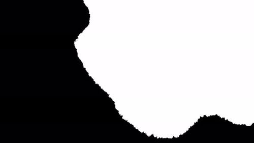 Abstract Black and White Ink Mixing