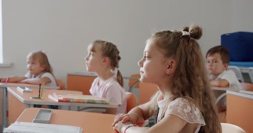 Children Raising Hands in Classroom Setting