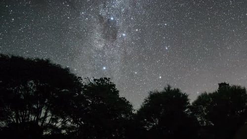 Milchstraße Galaxie Sterne über Bäumen Wald Silhouette im Dunkeln Sternenhimmel Astronomie