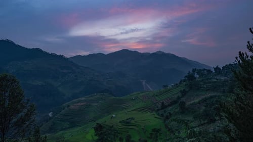 Time lapse of paddy rice terraces, green agricultural fields in Vietnam.