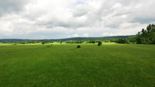 Grüne Ebenen in Slowenien enthüllen Grasfelder und Bäume