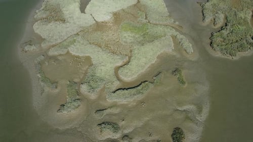 Top down View Of Swamp Or Marshland During Summer - aerial drone shot