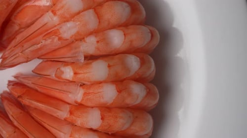 Close up of Cooked and Peeled Shrimp