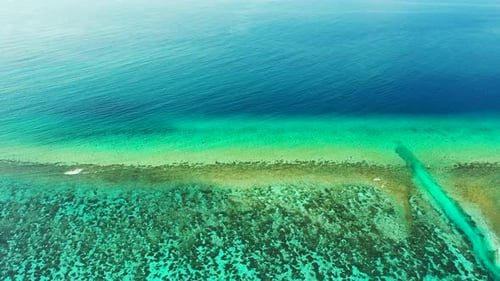 Tropical above abstract shot of a white paradise beach and blue sea background in colorful
