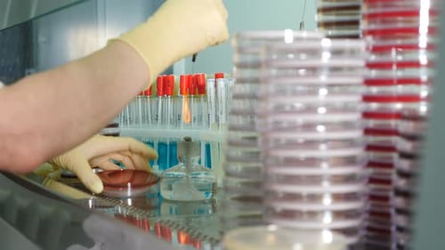 Gesundheitswesen und Humananalyse