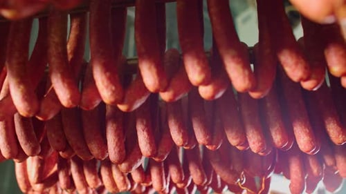 Rows of Sausages Hanging at a Factory