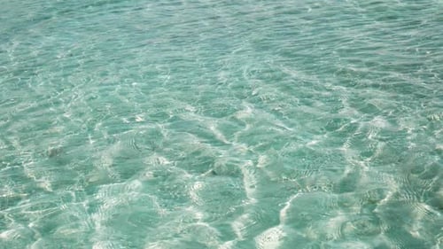 Ocean (2.7K)