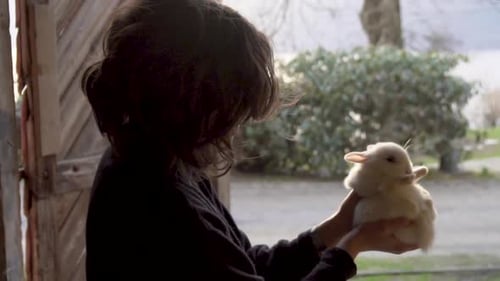 Woman holding and petting white rabbit in farm