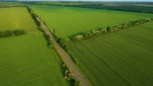 Aerial View Of Green Fields