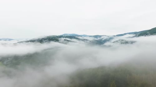 Misty Mountains and Forest Aerial Landscape