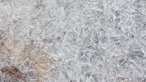 Rissige Eis-Textur mit gefrorenen Herbstblättern Nahaufnahme Zeitlupe