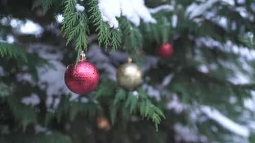 Coniferous branch with red and golden Christmas balls