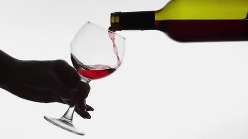 Rose Wine. Red Wine Pour in Wine Glass Over White Background. Slow Motion