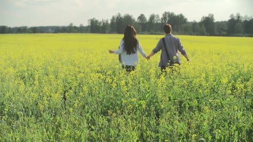 Summer Love