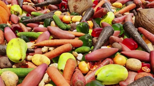 Vegetable Industry Market 01 HD