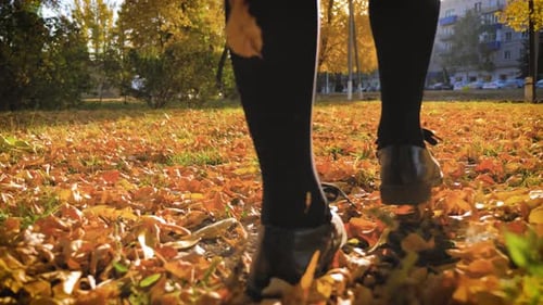 Feet of a Young Girl in Leather Shoes on Fallen Leaves in the Park. Autumn Concept.