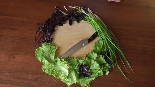 Assorted Greens and Herbs on Wooden Table