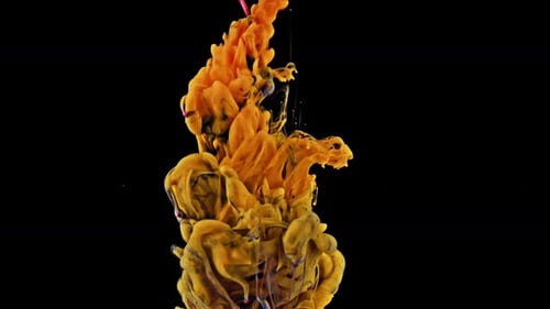 Colorful Ink Swirls Gracefully Against Black Background