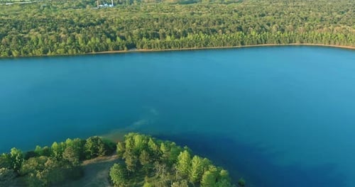 Lake and Green Forest Growing Near the Water in Sunny Day