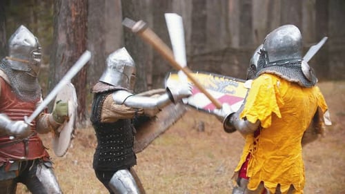 Four Men Knightes Having a Training Fight on the Field in the Middle of the Forest