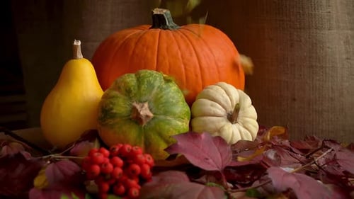 Fall Harvest Still Life with Gourds and Leaves