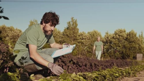 Male Gardener Writing in Document in the Field