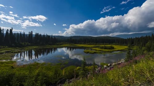 Vibrant Pond in the Mountains Timelapse