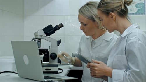 Women Scientists Work with Microscope and Tablet