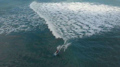 Surfer Riding Ocean Wave on Sunny Day