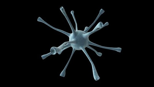 Célula neuronal