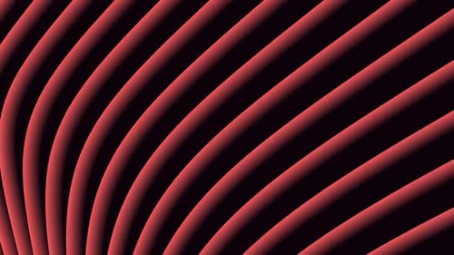 Dynamic Red Curved Lines Abstract Looping Background Animation