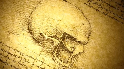 Anatomie-Kunst