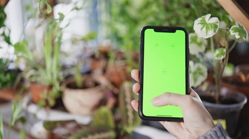 Person Using Mobile Online Store for Gardening