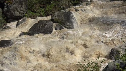 Ein unglaublich schnell fließender, tobender, schäumender Fluss im Frühlingswald
