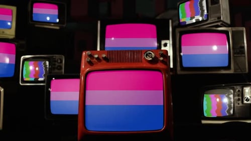 Retro Televisions Showing Bisexual Pride Flag on Screens