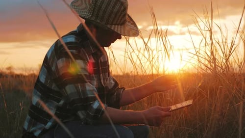 Farmer Using Tablet Device in Field at Sunset