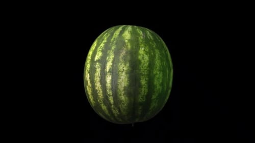 Alpha Channel Wassermelone