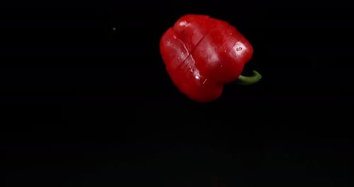Red Sweet Pepper, capsicum annuum, Vegetable falling on Water against Black Background