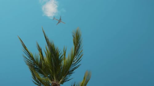 Plane