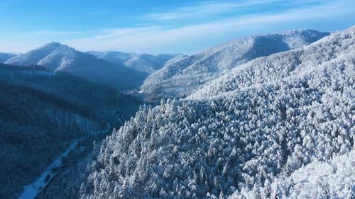 Aerial View of a Fabulous Snowcovered Forest on the Slopes of the Mountains