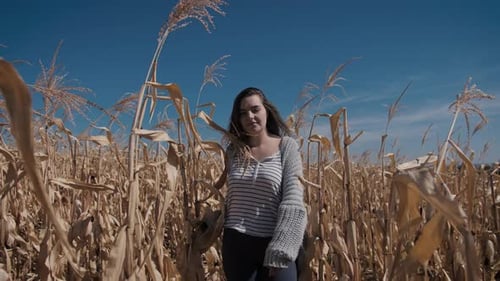 Woman Walking Through Golden Cornfield on Sunny Day