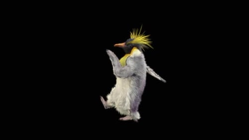 Penguin Dancing HD