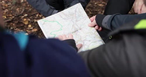 People Reading Map Together in Forest