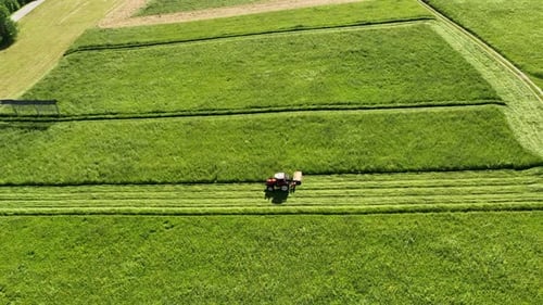 Luftaufnahme eines Traktors, der ein grünes frisches Gras mäht