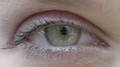 Woman Eye