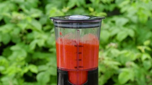 Preparing a Delicious Fruit Smoothie Outdoors