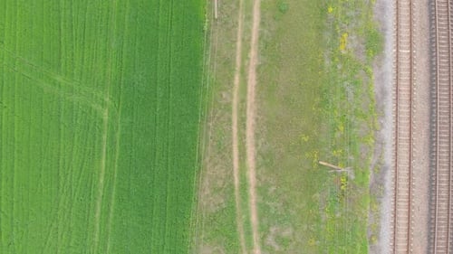 Grüne Wiese für