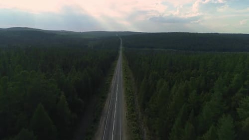 AERIAL, TOP DOWN: Dark Colored Car Driving Down an Asphalt Road Crossing the Vast Forest on a Sunny